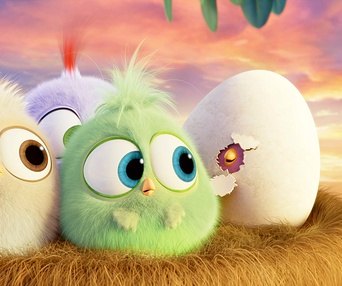 Une scène du film The Angry Birds Movie