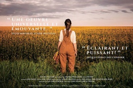 Affiche du film Modified