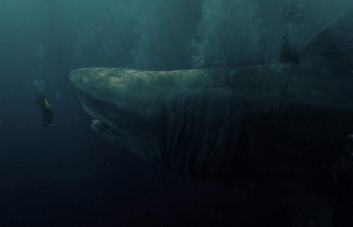 Une scène du film Le mégalodon