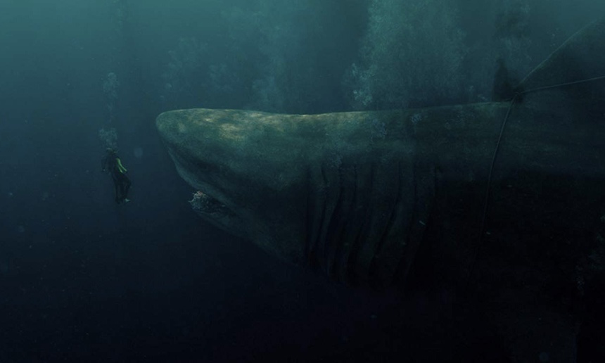 Sorties à la maison : The Meg