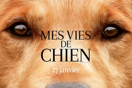 Affiche du film Mes vies de chien Affiche du film Mes vies de chien