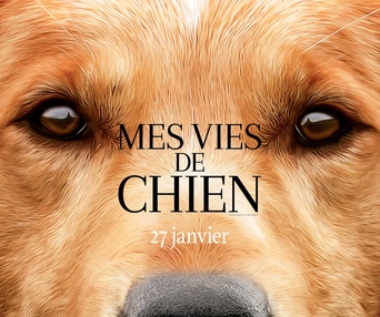 Affiche du film Mes vies de chien
