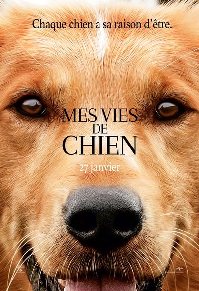 Affiche du film Mes vies de chien