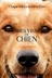 Affiche du film Mes vies de chien