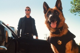 Une scène du film Cats & Dogs: The Revenge of Kitty Galore Une scène du film Cats & Dogs: The Revenge of Kitty Galore