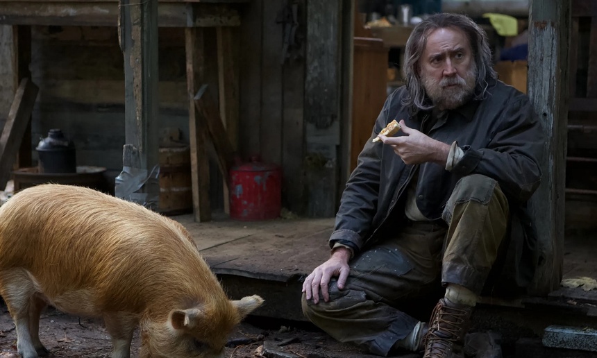 Sorties à la maison : Pig