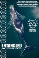 Affiche du film Entangled