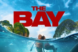 Image du film The Bay