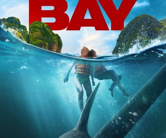 Image du film The Bay