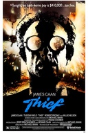 Affiche du film Le solitaire