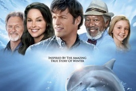Affiche du film Dolphin Tale
