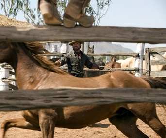 Scène du film Australia