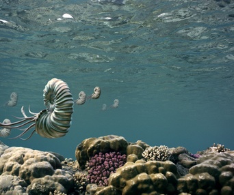 Une scène du film Sea Rex: Journey to a Prehistoric World 3D