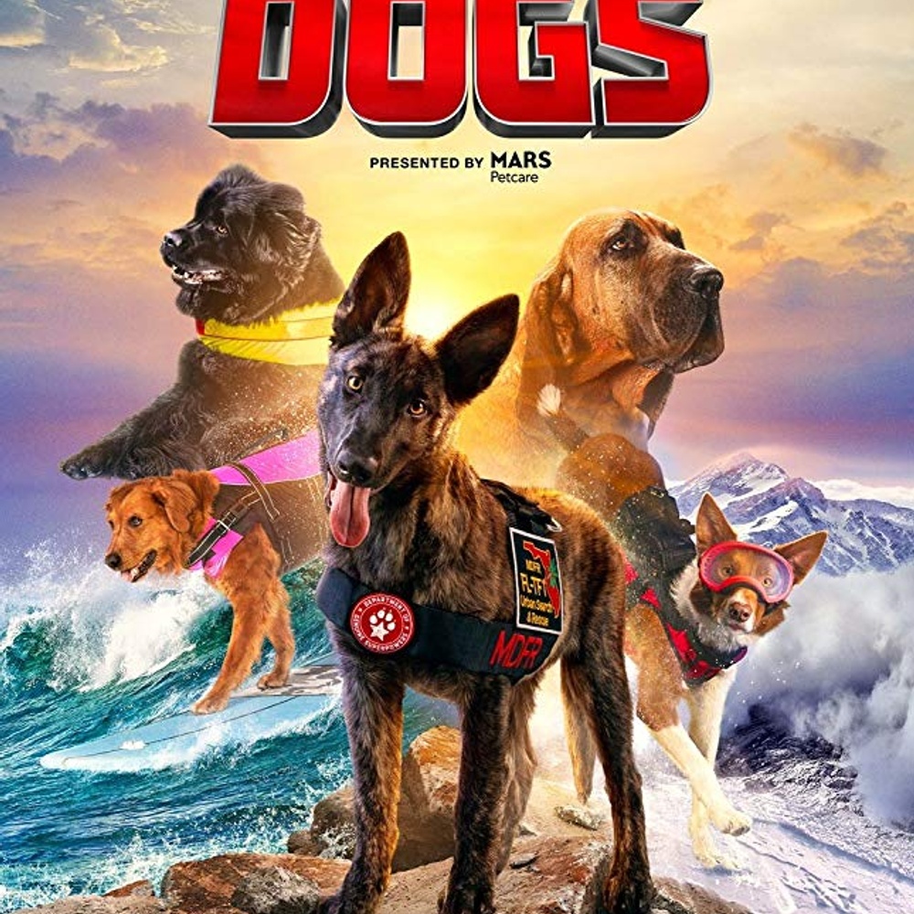 Affiche du film Superpower Dogs 3D
