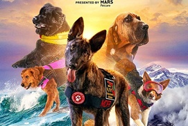 Affiche du film Superpower Dogs 3D