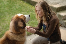 Une scène du film A Dog's Purpose Une scène du film A Dog's Purpose