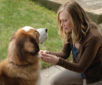Une scène du film A Dog's Purpose