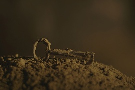 Une scène du film No Place on Earth Une scène du film No Place on Earth