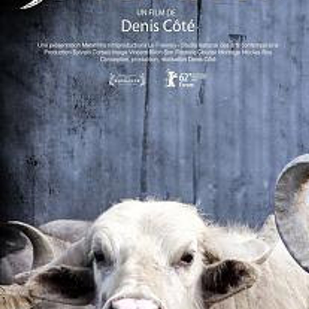 Affiche du film Bestiaire