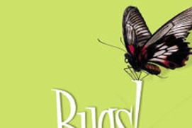 Affiche du film Bugs! in 3D