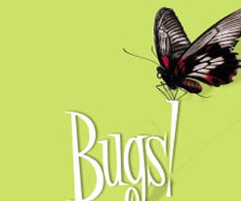 Affiche du film Bugs! in 3D
