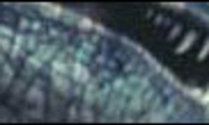 Un scientifique pour Jurassic Park 4