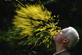 Affiche du film Leaning Into the Wind: Andy Goldsworthy