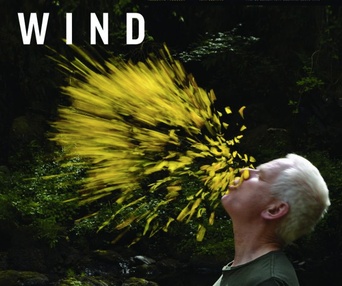 Affiche du film Leaning Into the Wind: Andy Goldsworthy
