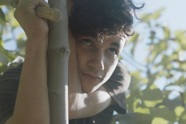 Une scène du film Under the Fig Trees