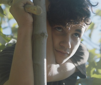 Une scène du film Under the Fig Trees