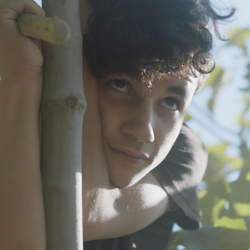 Une scène du film Under the Fig Trees