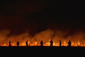 Image du film Rojek