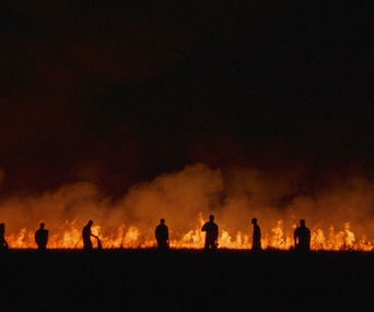 Image du film Rojek