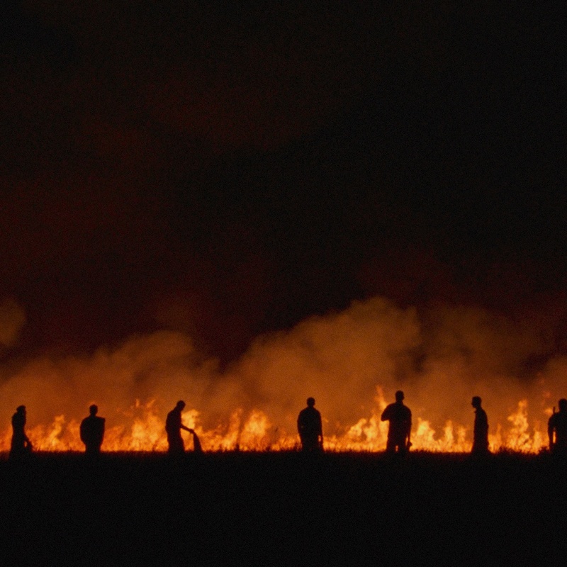 Image du film Rojek
