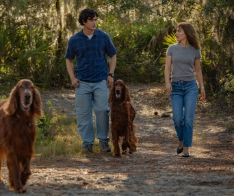 Une scène du film May December