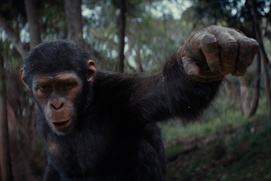 Image du film Kingdom of the Planet of the Apes