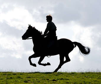 Une scène du film War Horse