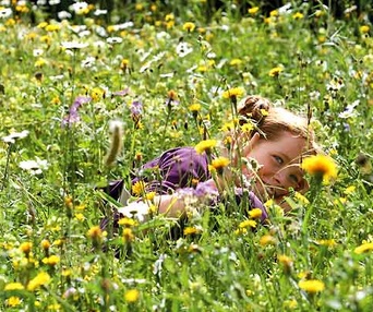 Scène du film Le renard et l'enfant