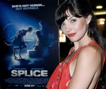 Sur le tapis rouge de Splice