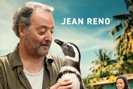 Affiche du film My Penguin Friend