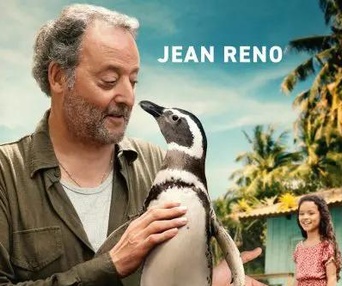 Affiche du film My Penguin Friend