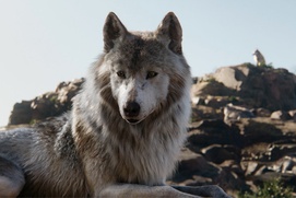 Une scène du film The Jungle Book