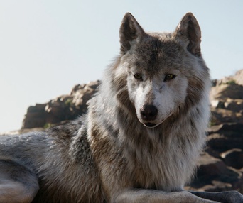 Une scène du film The Jungle Book