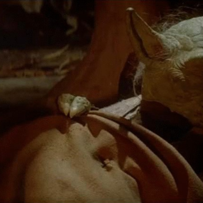 Une scène du film Star Wars: Episode VI - Return of the Jedi
