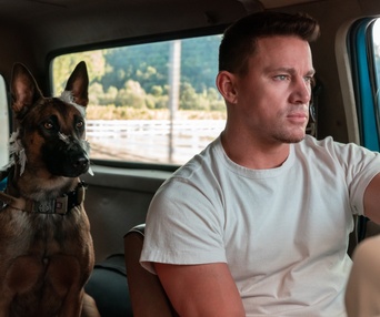 Une scène du film Dog