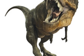 Affiche du film Dinosaures vivants