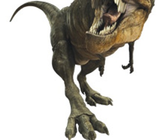 Affiche du film Dinosaures vivants