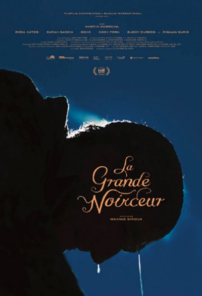 Affiche du film La grande noirceur