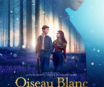 Affiche du film Oiseau blanc