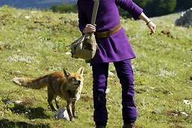 Scène du film Le renard et l'enfant